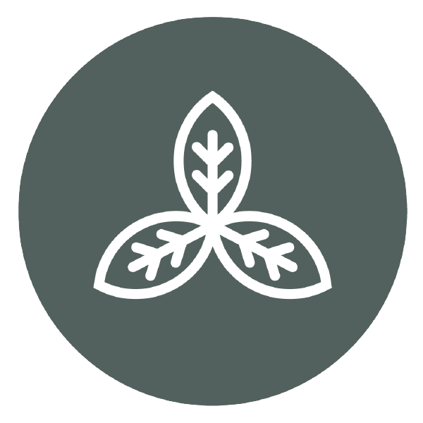 icon image